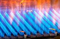 Bracadale gas fired boilers